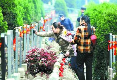 长丰县“五位一体”全力推动殡葬变革作业